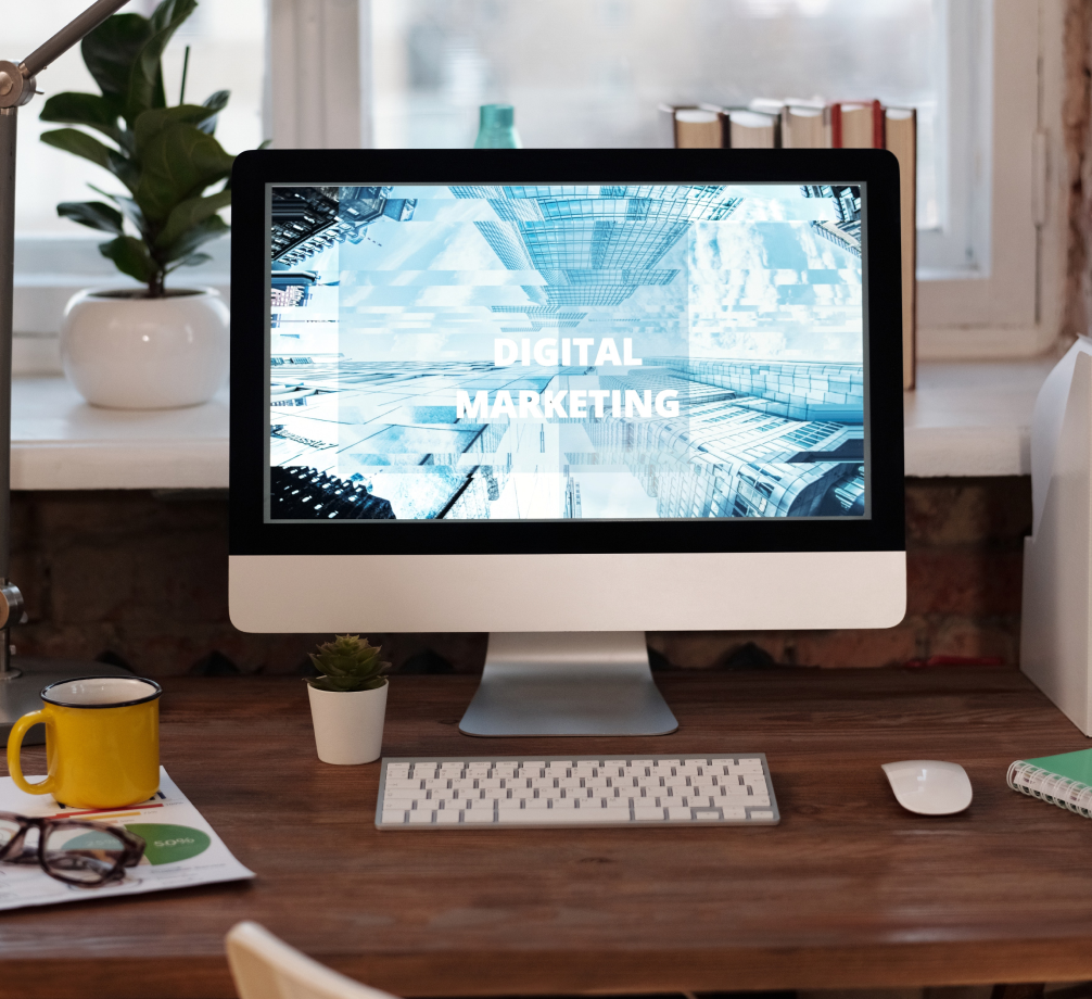 whizcamp-production-growth