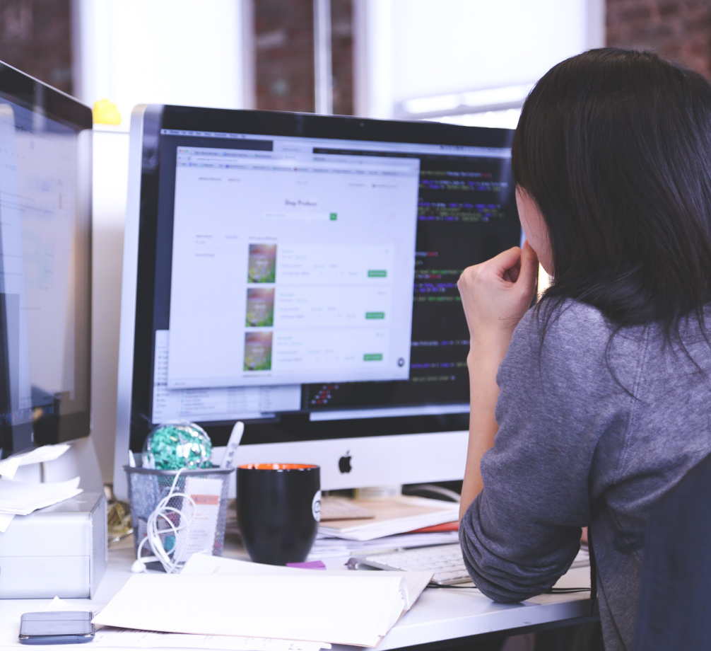 whizcamp-web-development